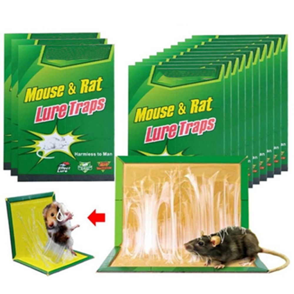 Piège Adhésif Non Toxique pour Souris et Insectes