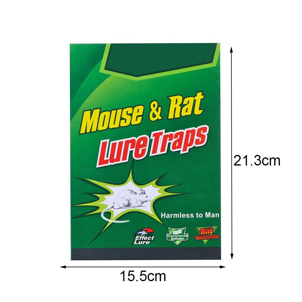 Piège Adhésif Non Toxique pour Souris et Insectes
