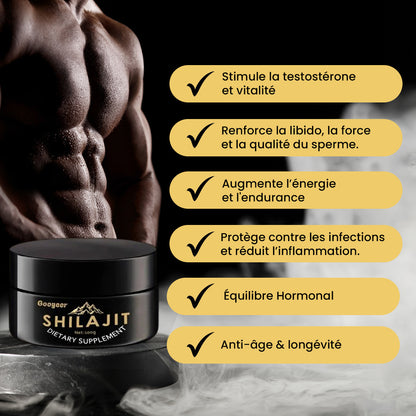 Shilajit Gold de l’Himalaya – Énergie, Esprit, Force