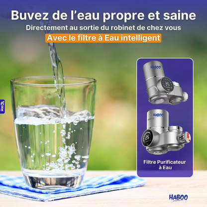 Purificateur d'Eau Anti-Calcaire