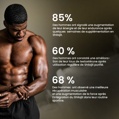 Shilajit Gold de l’Himalaya – Énergie, Esprit, Force