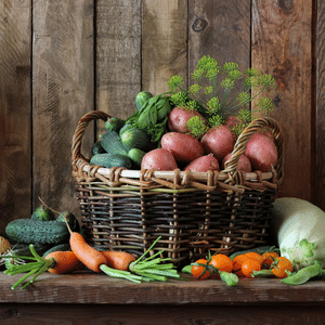 🌱 Vegetable Seed Vault Kit