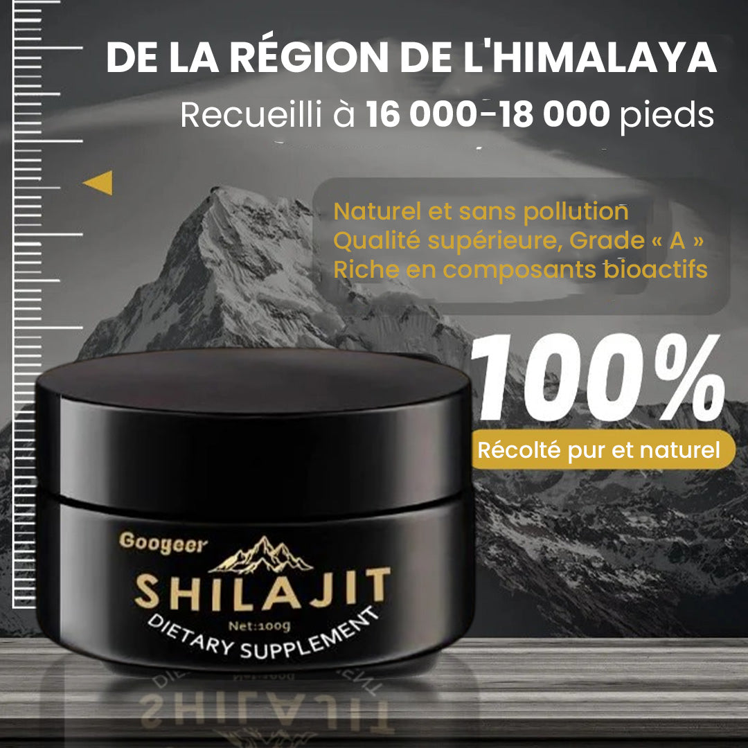 Shilajit Gold de l’Himalaya – Énergie, Esprit, Force