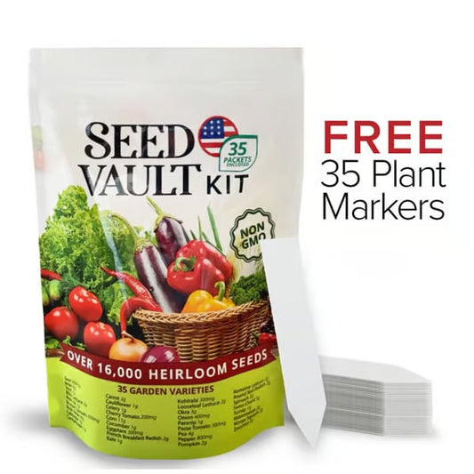 🌱 Vegetable Seed Vault Kit