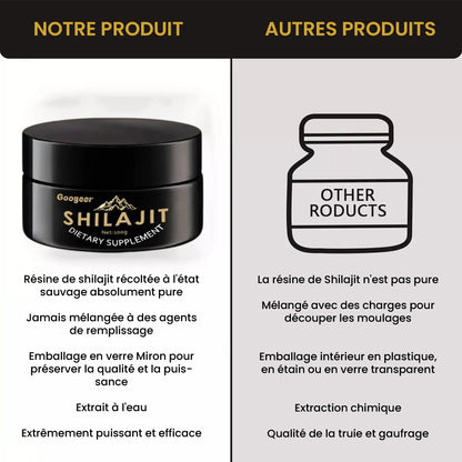 Shilajit Gold de l’Himalaya – Énergie, Esprit, Force