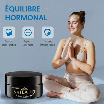 Shilajit Gold de l’Himalaya – Énergie, Esprit, Force