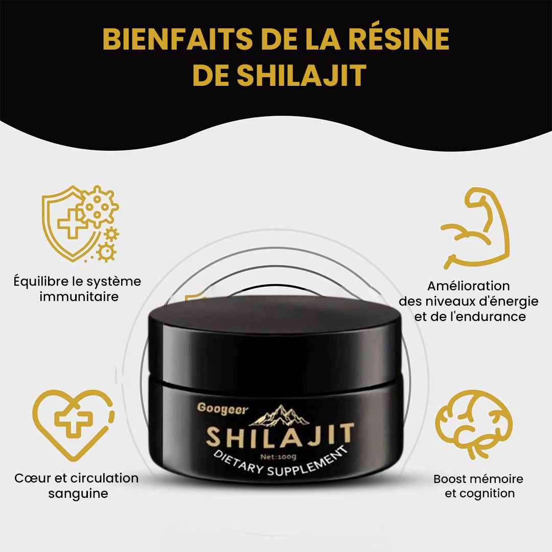 Shilajit Gold de l’Himalaya – Énergie, Esprit, Force