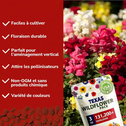 Graines de Roses Grimpantes Élégantes: Un Jardin Magique !