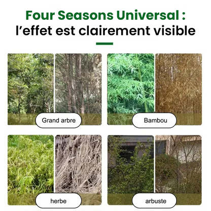 HerbiClean™ – Désherbant Professionnel à Action Rapide