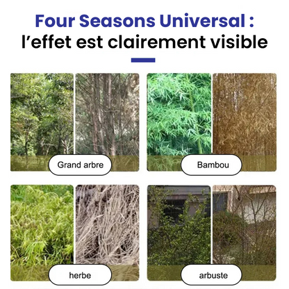 TUEUR D’ARBRES – Herbicide Puissant Aleronix