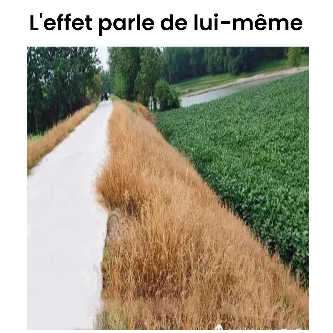 HerbiClean™ – Désherbant Professionnel à Action Rapide