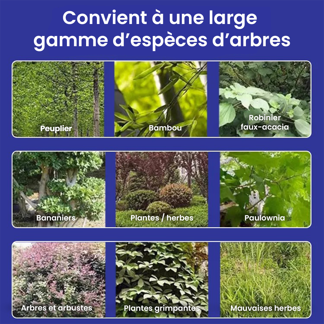 TUEUR D’ARBRES – Herbicide Puissant Aleronix