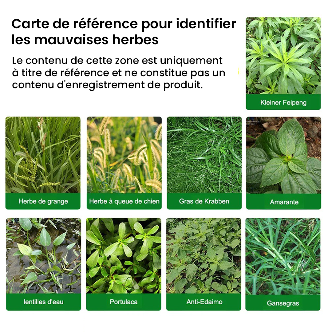 HerbiClean™ – Désherbant Professionnel à Action Rapide