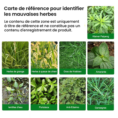 HerbiClean™ – Désherbant Professionnel à Action Rapide