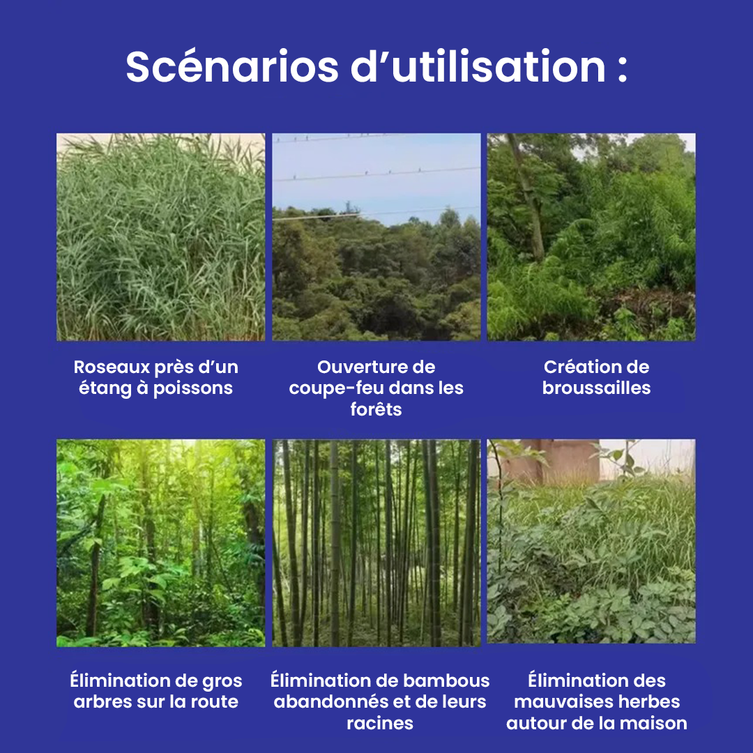 TUEUR D’ARBRES – Herbicide Puissant Aleronix
