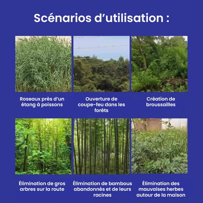 TUEUR D’ARBRES – Herbicide Puissant Aleronix