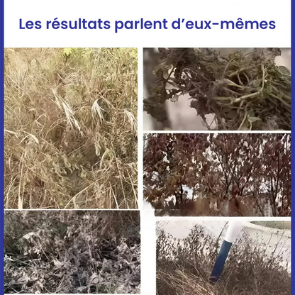 TUEUR D’ARBRES – Herbicide Puissant Aleronix