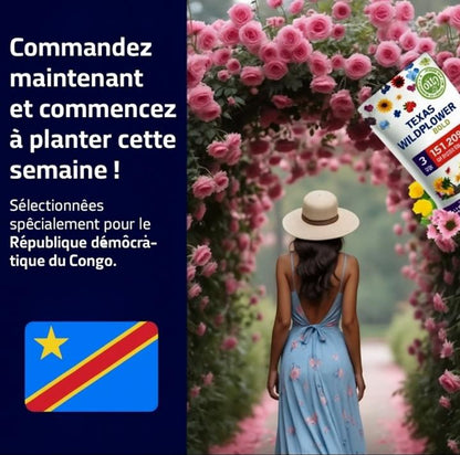 Graines de Roses Grimpantes Élégantes: Un Jardin Magique !