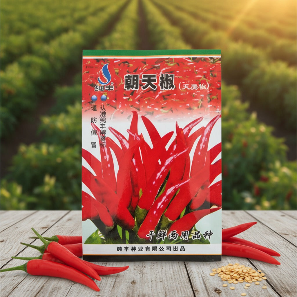 Graines de piment Bio