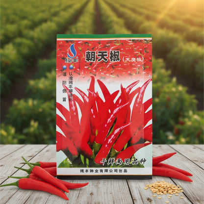 Graines de piment Bio