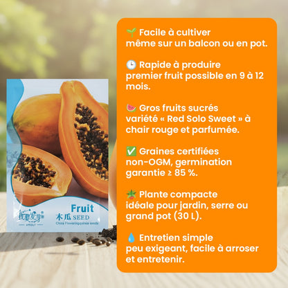 Graines de Papaye Bio