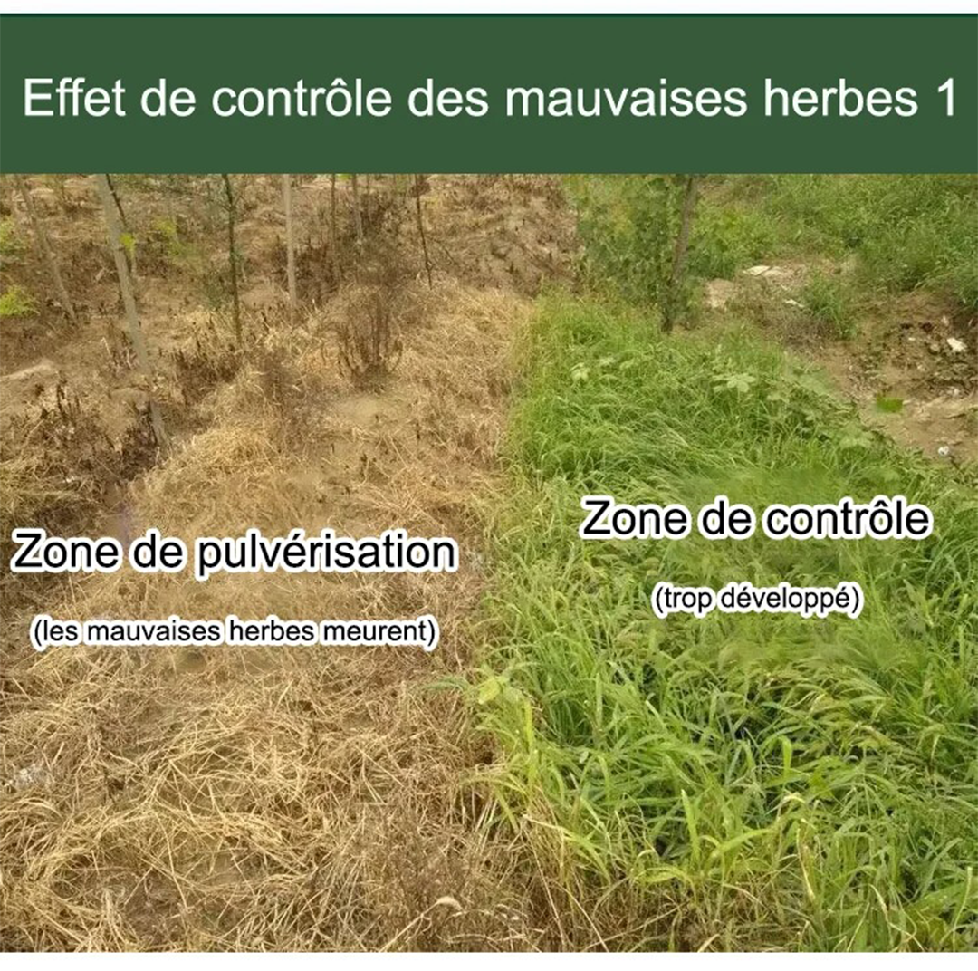 HerbiClean™ – Désherbant Professionnel à Action Rapide