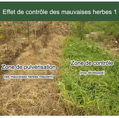 HerbiClean™ – Désherbant Professionnel à Action Rapide