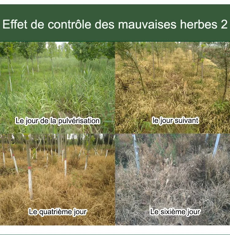 HerbiClean™ – Désherbant Professionnel à Action Rapide