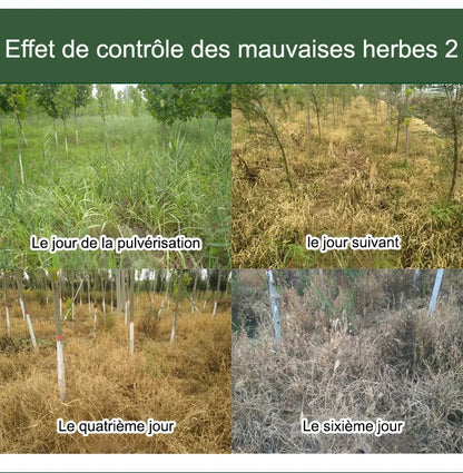 HerbiClean™ – Désherbant Professionnel à Action Rapide